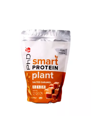 SMART PROTEIN PLANT SALTED 500G